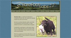 Desktop Screenshot of barefootlabs.com