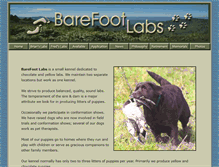 Tablet Screenshot of barefootlabs.com